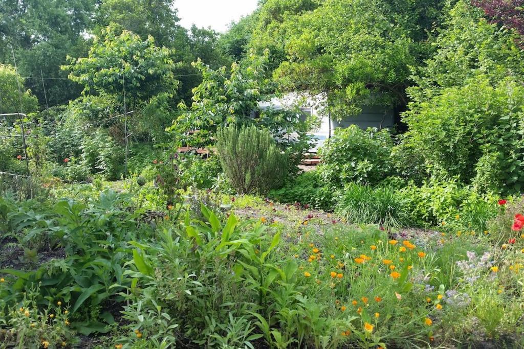 L'hermitage D'apollon Au Sein D'un Jardin Forêt Près De L'océan * Mimizan