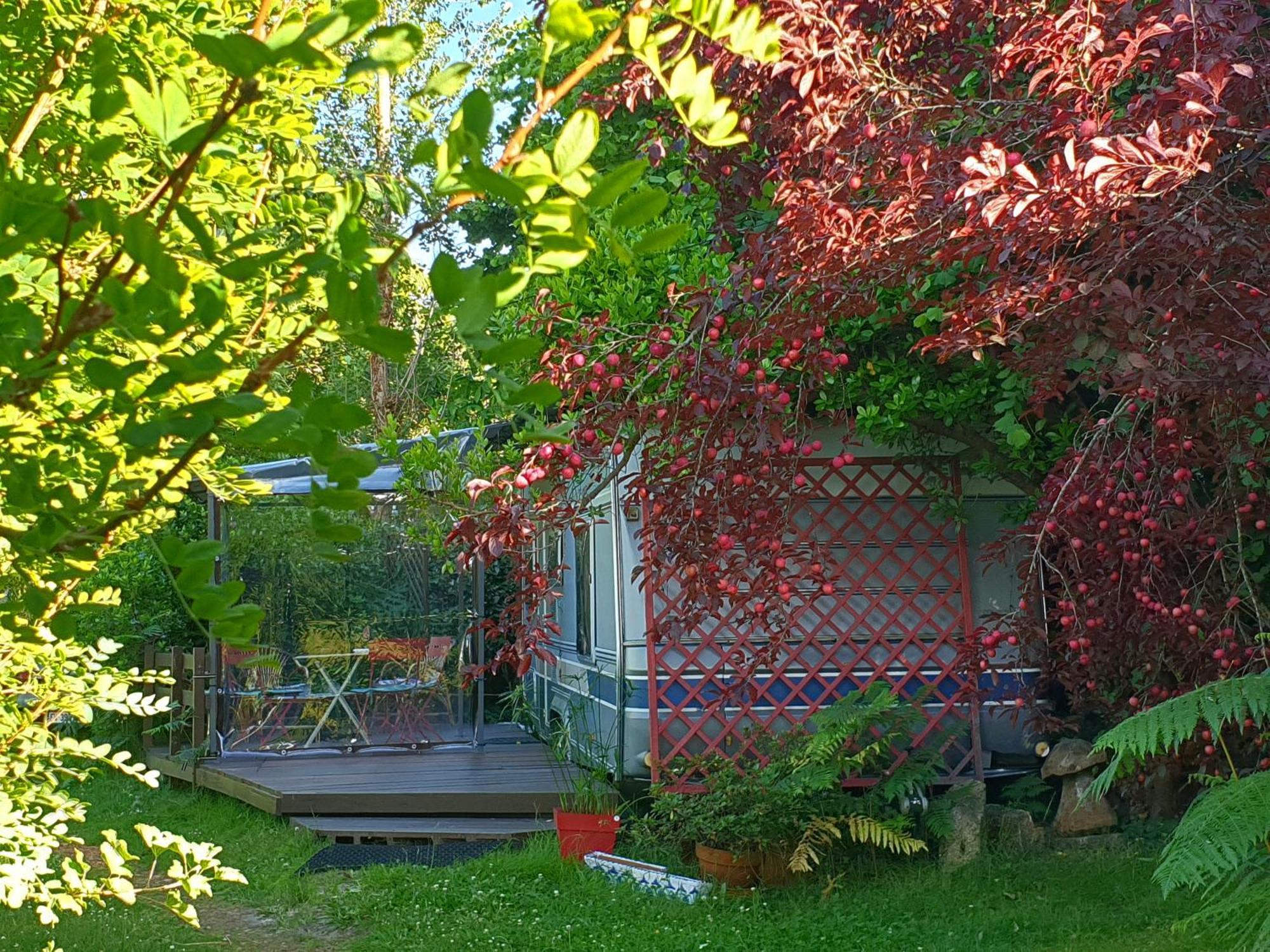 Camping L'hermitage D'apollon Au Sein D'un Jardin Forêt Près De L'océan *