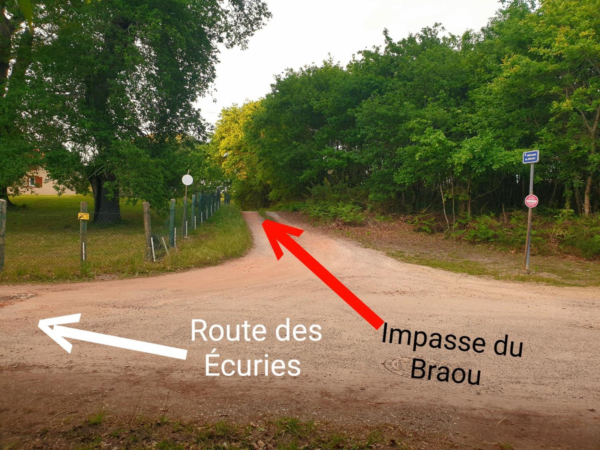 L'hermitage D'apollon Au Sein D'un Jardin Forêt Près De L'océan Camping