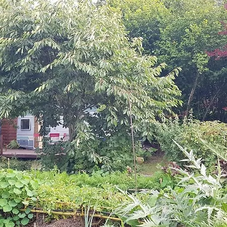 L'Hermitage Au Sein D'Un Jardin Foret Pres De L'Ocean Mimizan Exterior photo