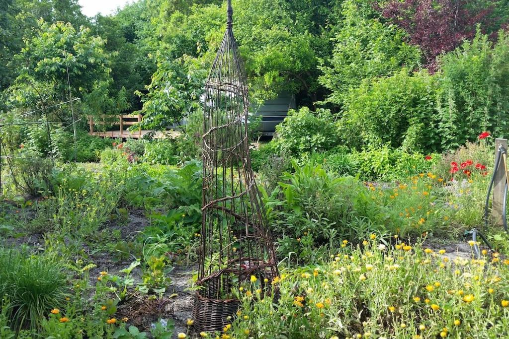L'hermitage D'apollon Au Sein D'un Jardin Forêt Près De L'océan *