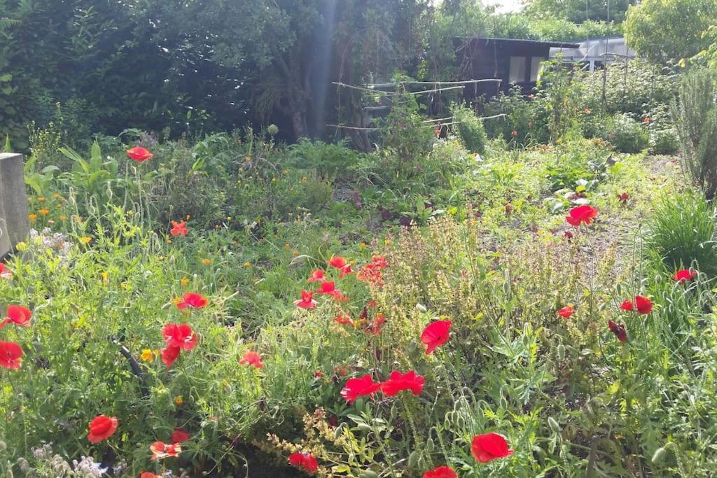L'ermitage Au Sein D'un Jardin Foret Pres De L'ocean *