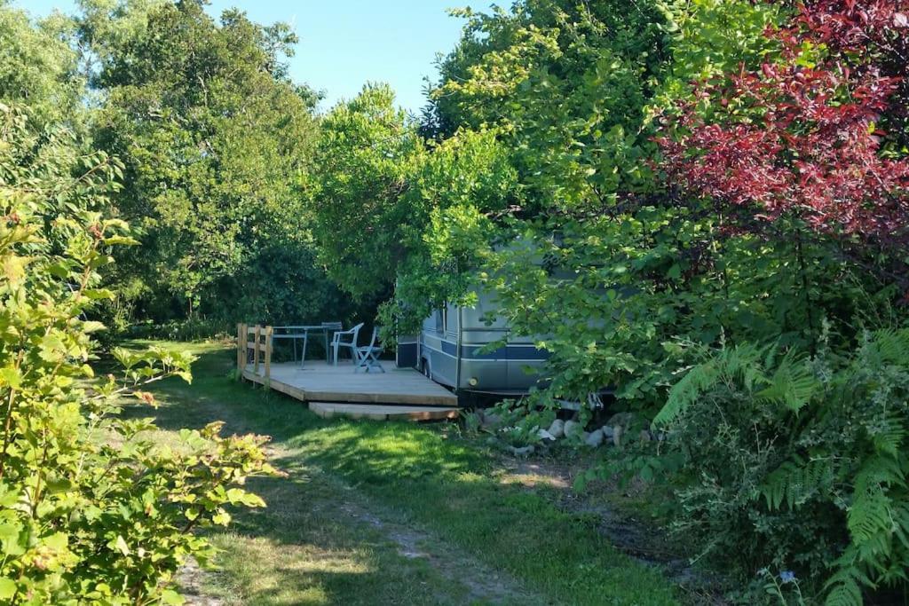 Parque de Campismo L'hermitage D'apollon Au Sein D'un Jardin Forêt Près De L'océan Mimizan-Plage