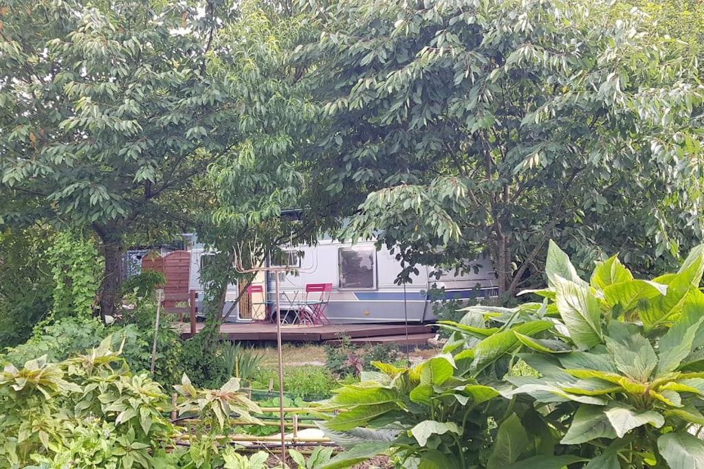 L'hermitage D'apollon Au Sein D'un Jardin Forêt Près De L'océan