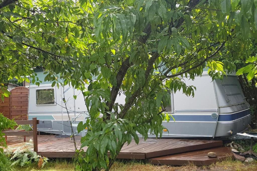L'hermitage D'apollon Au Sein D'un Jardin Forêt Près De L'océan *