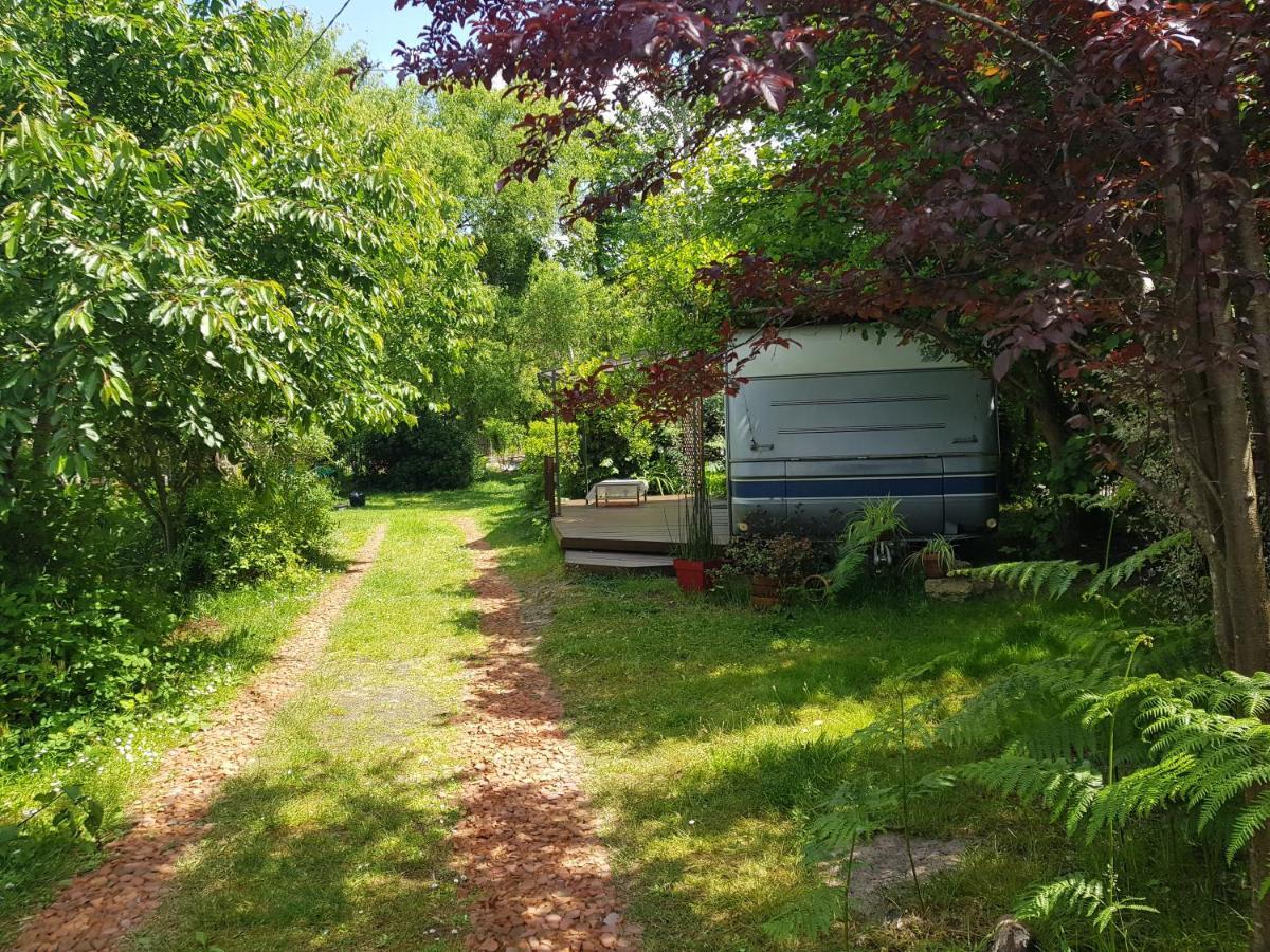 Campingplatz L'ermitage Au Sein D'un Jardin Foret Pres De L'ocean Mimizan