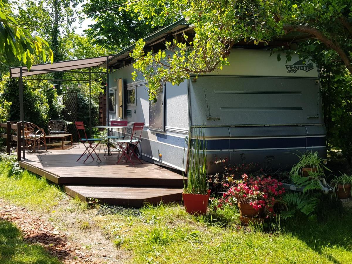 L'hermitage D'apollon Au Sein D'un Jardin Forêt Près De L'océan Camping *